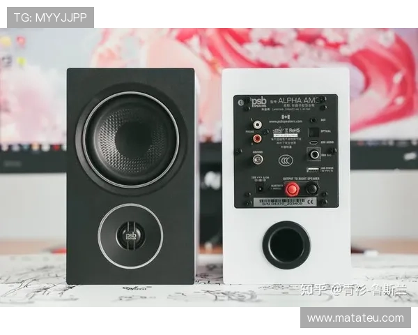 深度解析PA电子试玩：让你快速上手的技巧