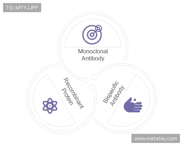 币游网址正版娱乐平台引领行业创新,提供多样化游戏选择与优质客户服务保障用户权益 币游网址正版娱乐平台引领行业创新,提供多样化游戏选择与优质客户服务保障用户权益